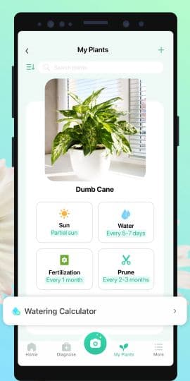 PictureThis：撮ったら、判る-1秒植物図鑑