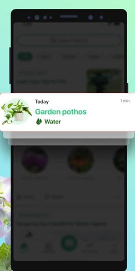 PictureThis：撮ったら、判る-1秒植物図鑑