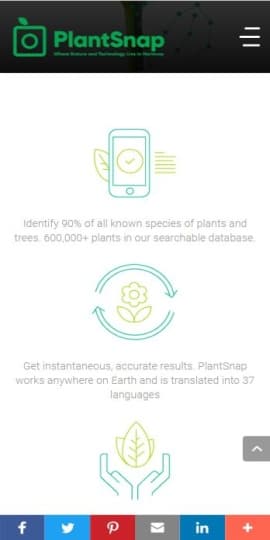PlantSnap plant identification